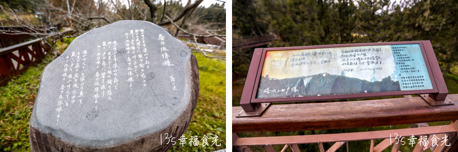 【阿里山小火車旅遊】阿里山兩天一夜行程《林鐵全線通車》搭著阿里山中興號上山住一晚！看阿里山日出｜坐蒸汽小火車(季節限定賞楓列車)｜極光祝山啤酒祝山杯｜奮起湖車庫園區｜得恩亞納 @13&#039;s幸福食光