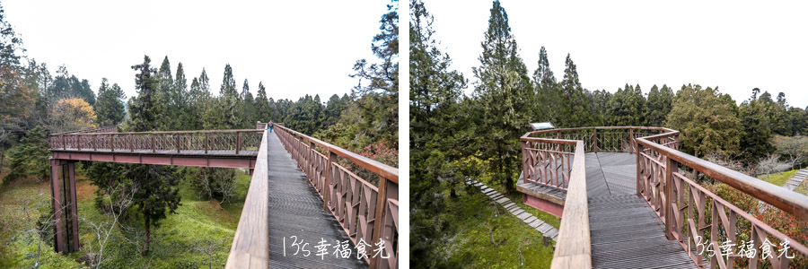 【阿里山小火車旅遊】阿里山兩天一夜行程《林鐵全線通車》搭著阿里山中興號上山住一晚！看阿里山日出｜坐蒸汽小火車(季節限定賞楓列車)｜極光祝山啤酒祝山杯｜奮起湖車庫園區｜得恩亞納 @13&#039;s幸福食光