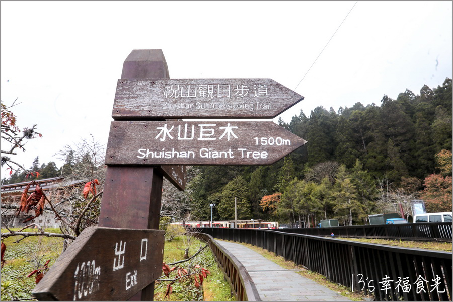 【阿里山小火車旅遊】阿里山兩天一夜行程《林鐵全線通車》搭著阿里山中興號上山住一晚！看阿里山日出｜坐蒸汽小火車(季節限定賞楓列車)｜極光祝山啤酒祝山杯｜奮起湖車庫園區｜得恩亞納 @13&#039;s幸福食光