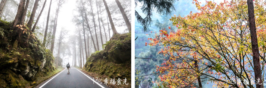 【阿里山小火車旅遊】阿里山兩天一夜行程《林鐵全線通車》搭著阿里山中興號上山住一晚！看阿里山日出｜坐蒸汽小火車(季節限定賞楓列車)｜極光祝山啤酒祝山杯｜奮起湖車庫園區｜得恩亞納 @13&#039;s幸福食光