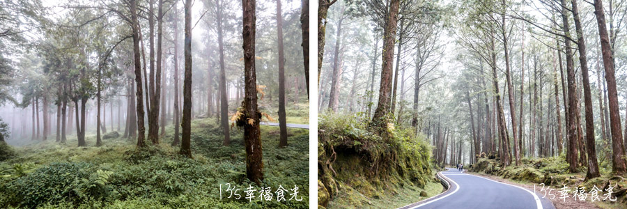 【阿里山小火車旅遊】阿里山兩天一夜行程《林鐵全線通車》搭著阿里山中興號上山住一晚！看阿里山日出｜坐蒸汽小火車(季節限定賞楓列車)｜極光祝山啤酒祝山杯｜奮起湖車庫園區｜得恩亞納 @13&#039;s幸福食光