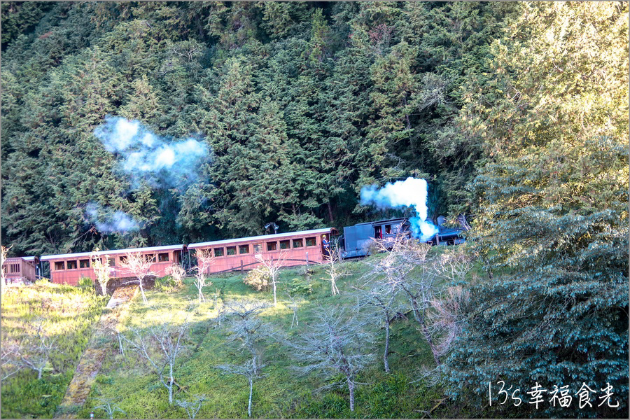 【阿里山小火車旅遊】阿里山兩天一夜行程《林鐵全線通車》搭著阿里山中興號上山住一晚！看阿里山日出｜坐蒸汽小火車(季節限定賞楓列車)｜極光祝山啤酒祝山杯｜奮起湖車庫園區｜得恩亞納 @13&#039;s幸福食光