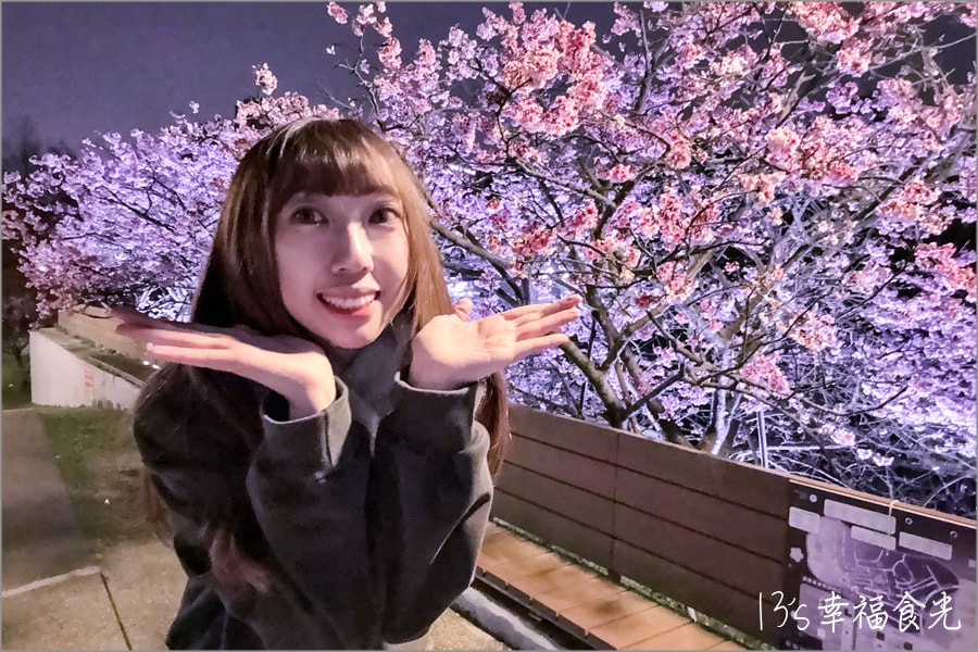 樂活公園櫻花202