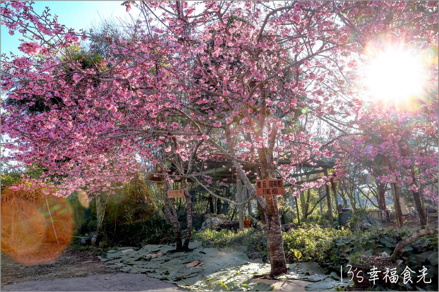 20250730-2ysa8 20250730-2ysa8