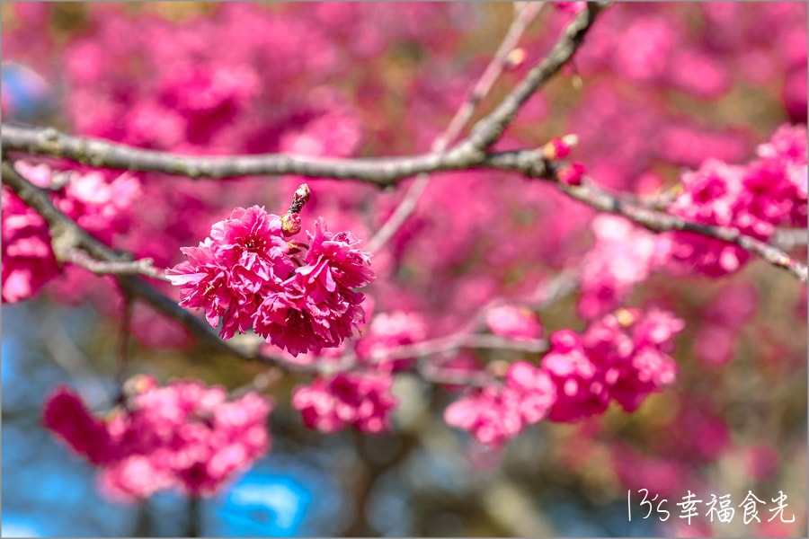 20250730-k7gp0 20250730-k7gp0