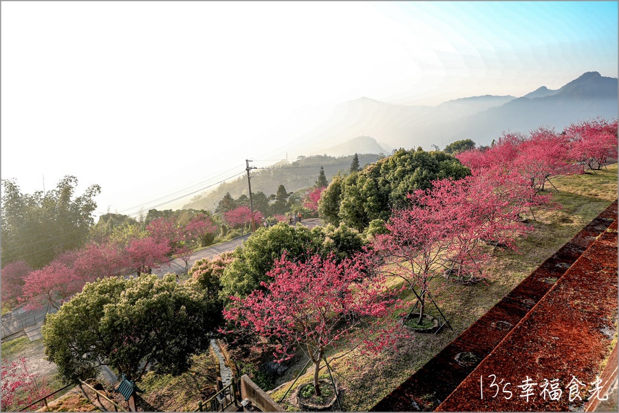 20250730-nhi6j