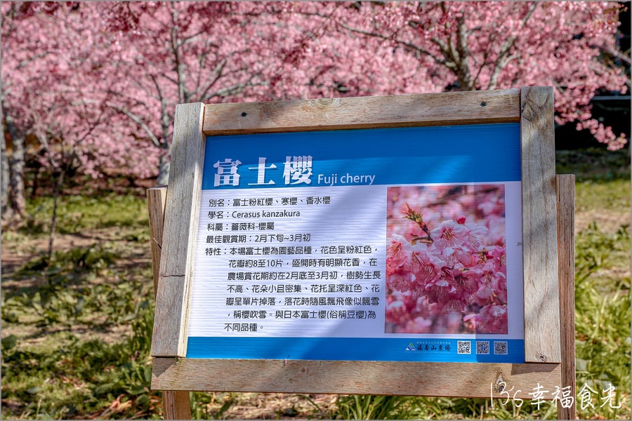 20250730-qygdj 20250730-qygdj