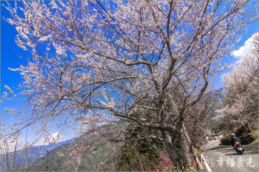 20250730-rry2q