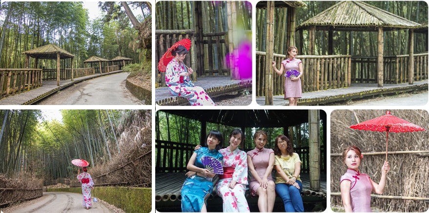 20250730-tp03n