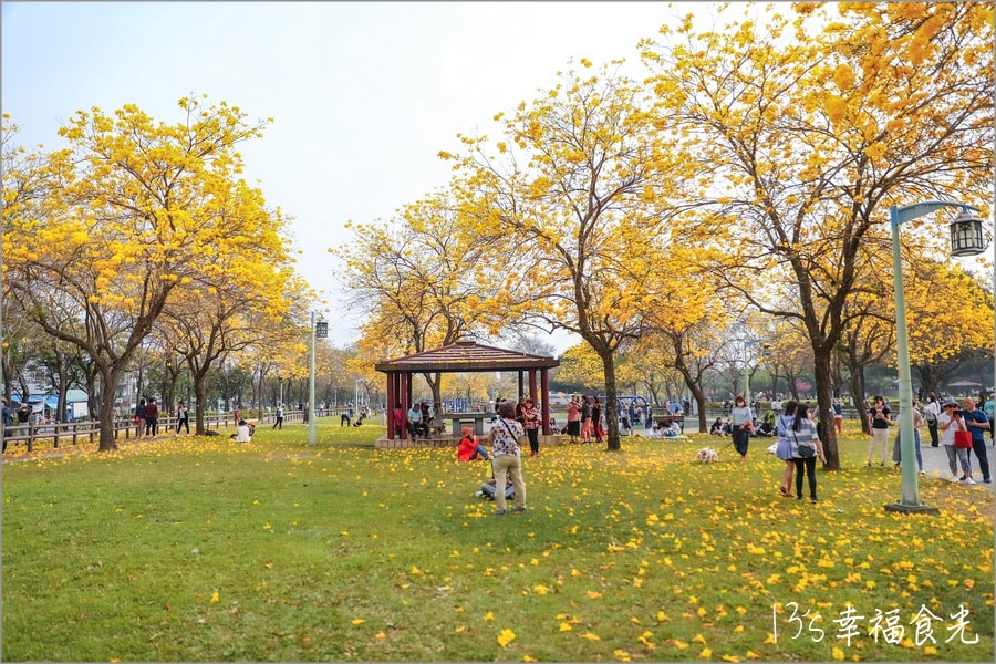 20250730-tf1fk