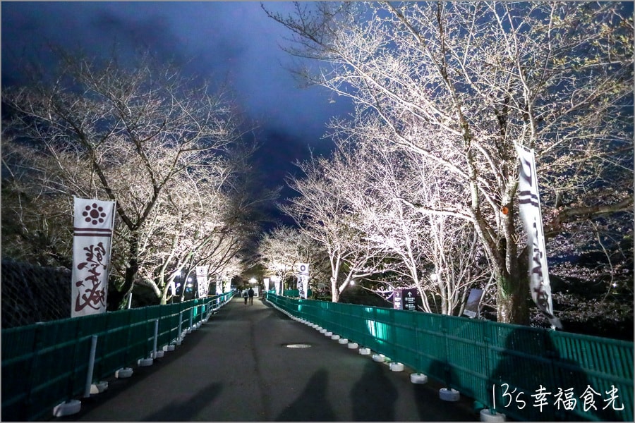20250730-xsfkg