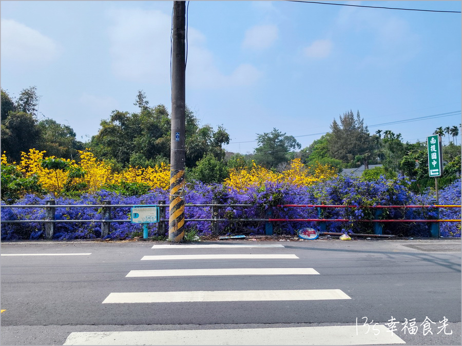 【南投風鈴木景點】黃花紫花浪漫對決～南投市《漳和社區快樂園》小而美的在地人賞花秘境｜南投錫葉藤景點｜南投賞花景點｜南投黃花風鈴木2025 @13&#039;s幸福食光