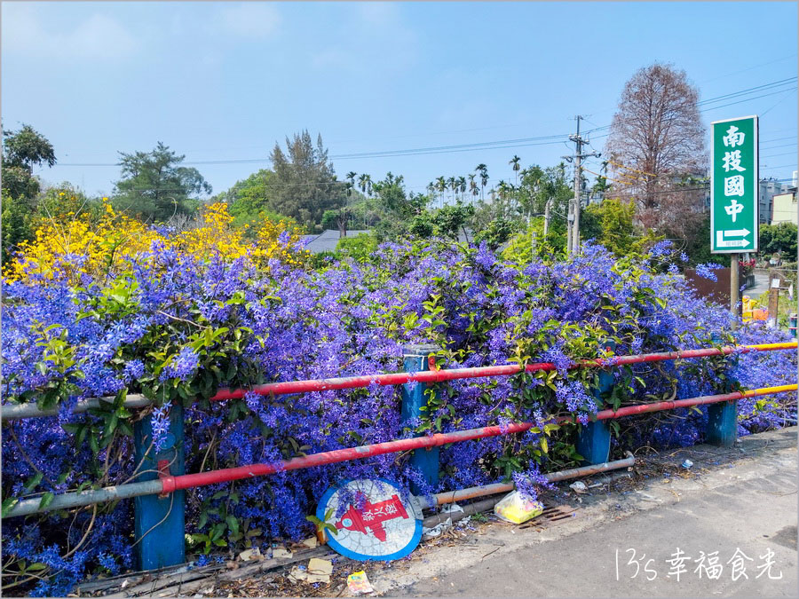 【南投風鈴木景點】黃花紫花浪漫對決～南投市《漳和社區快樂園》小而美的在地人賞花秘境｜南投錫葉藤景點｜南投賞花景點｜南投黃花風鈴木2025 @13&#039;s幸福食光