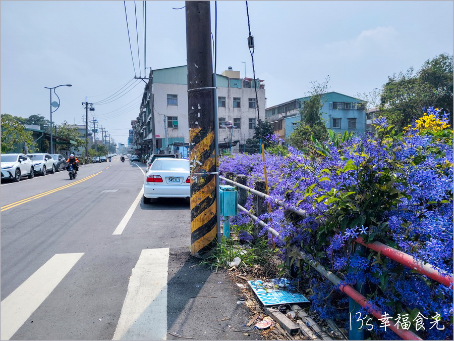 【南投風鈴木景點】黃花紫花浪漫對決～南投市《漳和社區快樂園》小而美的在地人賞花秘境｜南投錫葉藤景點｜南投賞花景點｜南投黃花風鈴木2025 @13&#039;s幸福食光