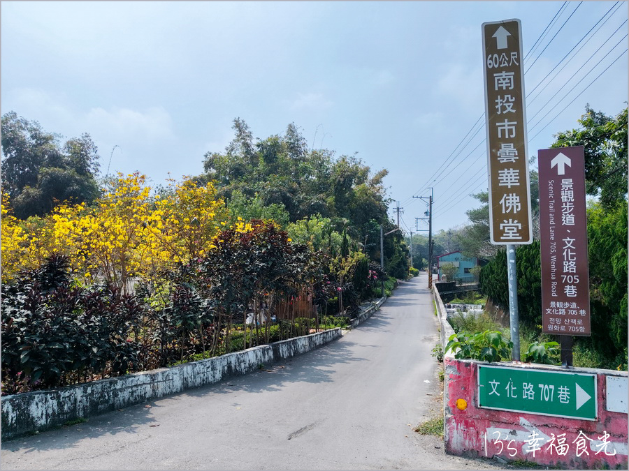 【南投風鈴木景點】黃花紫花浪漫對決～南投市《漳和社區快樂園》小而美的在地人賞花秘境｜南投錫葉藤景點｜南投賞花景點｜南投黃花風鈴木2025 @13&#039;s幸福食光