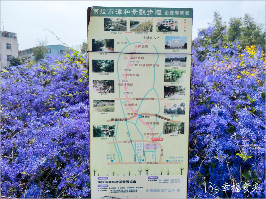 【南投風鈴木景點】黃花紫花浪漫對決～南投市《漳和社區快樂園》小而美的在地人賞花秘境｜南投錫葉藤景點｜南投賞花景點｜南投黃花風鈴木2025 @13&#039;s幸福食光