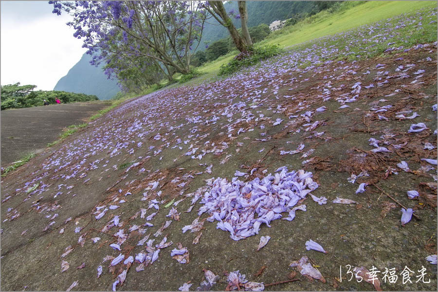 20250730-jg65j