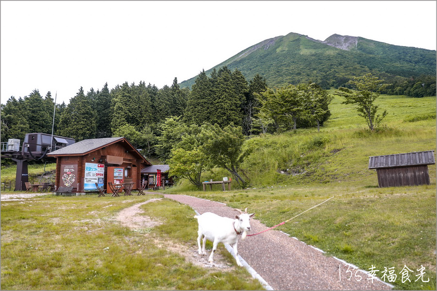 【鳥取旅遊行程】鳥取自由行DAY1鳥取大山半日遊～朝聖大神山神社奧宮｜大山MR.BURGER｜大山牧場牛奶故鄉｜大山櫻水高原空中纜車｜燒肉牛王倉吉店｜鳥取住宿推薦 @13&#039;s幸福食光