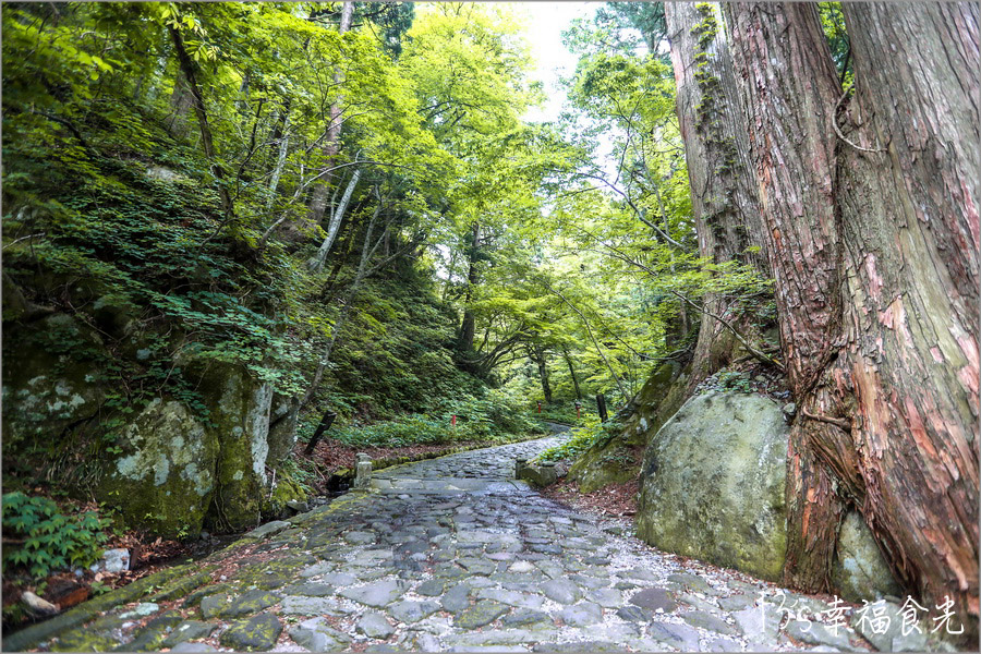 【鳥取旅遊行程】鳥取自由行DAY1鳥取大山半日遊～朝聖大神山神社奧宮｜大山MR.BURGER｜大山牧場牛奶故鄉｜大山櫻水高原空中纜車｜燒肉牛王倉吉店｜鳥取住宿推薦 @13&#039;s幸福食光