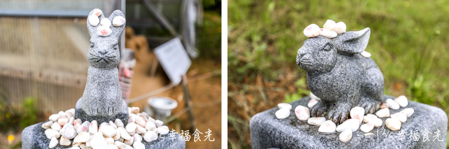【鳥取旅遊行程】鳥取自由行DAY3移動鳥取市～打卡白兔神社＆鳥取砂丘｜咖哩飯推薦コーヒー＆カレー 五島｜宇倍神社｜鳥取一日遊｜東橫INN鳥取站北口｜鳥取市住宿推薦 @13&#039;s幸福食光