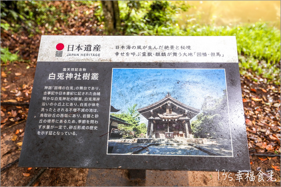 【鳥取旅遊行程】鳥取自由行DAY3移動鳥取市～打卡白兔神社＆鳥取砂丘｜咖哩飯推薦コーヒー＆カレー 五島｜宇倍神社｜鳥取一日遊｜東橫INN鳥取站北口｜鳥取市住宿推薦 @13&#039;s幸福食光