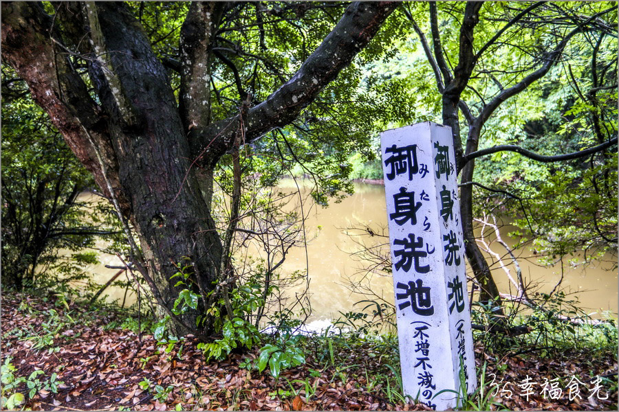 【鳥取旅遊行程】鳥取自由行DAY3移動鳥取市～打卡白兔神社＆鳥取砂丘｜咖哩飯推薦コーヒー＆カレー 五島｜宇倍神社｜鳥取一日遊｜東橫INN鳥取站北口｜鳥取市住宿推薦 @13&#039;s幸福食光