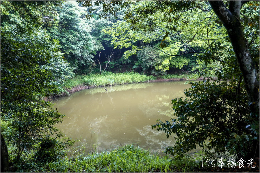 【鳥取旅遊行程】鳥取自由行DAY3移動鳥取市～打卡白兔神社＆鳥取砂丘｜咖哩飯推薦コーヒー＆カレー 五島｜宇倍神社｜鳥取一日遊｜東橫INN鳥取站北口｜鳥取市住宿推薦 @13&#039;s幸福食光