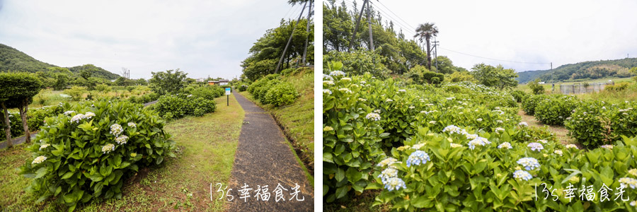 【鳥取旅遊行程】鳥取自由行DAY3移動鳥取市～打卡白兔神社＆鳥取砂丘｜咖哩飯推薦コーヒー＆カレー 五島｜宇倍神社｜鳥取一日遊｜東橫INN鳥取站北口｜鳥取市住宿推薦 @13&#039;s幸福食光