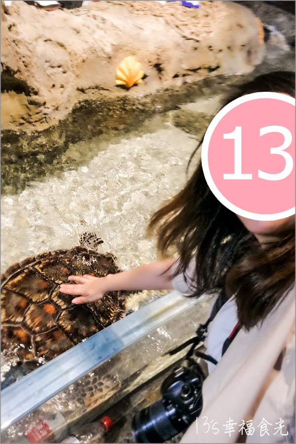 【江蘇旅遊景點】淮安旅遊景點推薦「淮安龍宮大白鯨嬉水世界」~瘋遊西遊記裡的龍宮世界 - 第14張圖