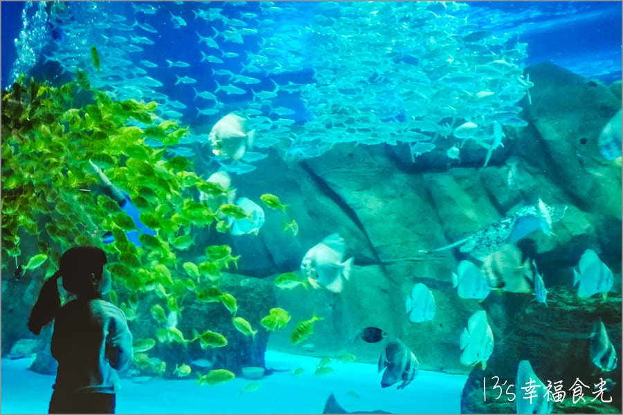 【江蘇旅遊景點】淮安旅遊景點推薦「淮安龍宮大白鯨嬉水世界」~瘋遊西遊記裡的龍宮世界 - 第18張圖
