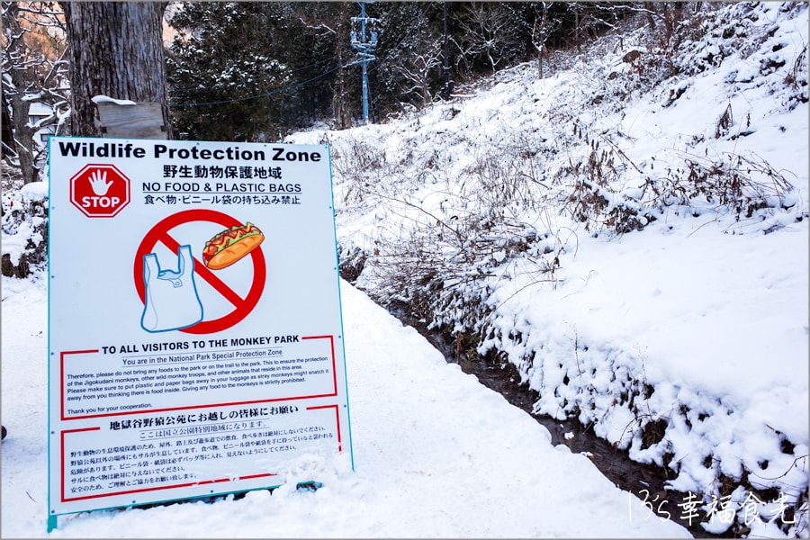 【長野旅遊景點】山谷之間藏著夢幻的童話雪世界~穿過迷幻的雪森林「地獄谷野猿公苑」.一起來看雪猴泡湯趣 - 第21張圖
