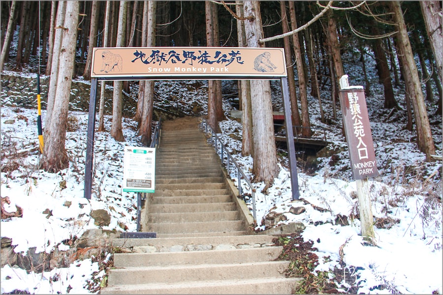 【長野旅遊景點】山谷之間藏著夢幻的童話雪世界~穿過迷幻的雪森林「地獄谷野猿公苑」.一起來看雪猴泡湯趣 - 第28張圖