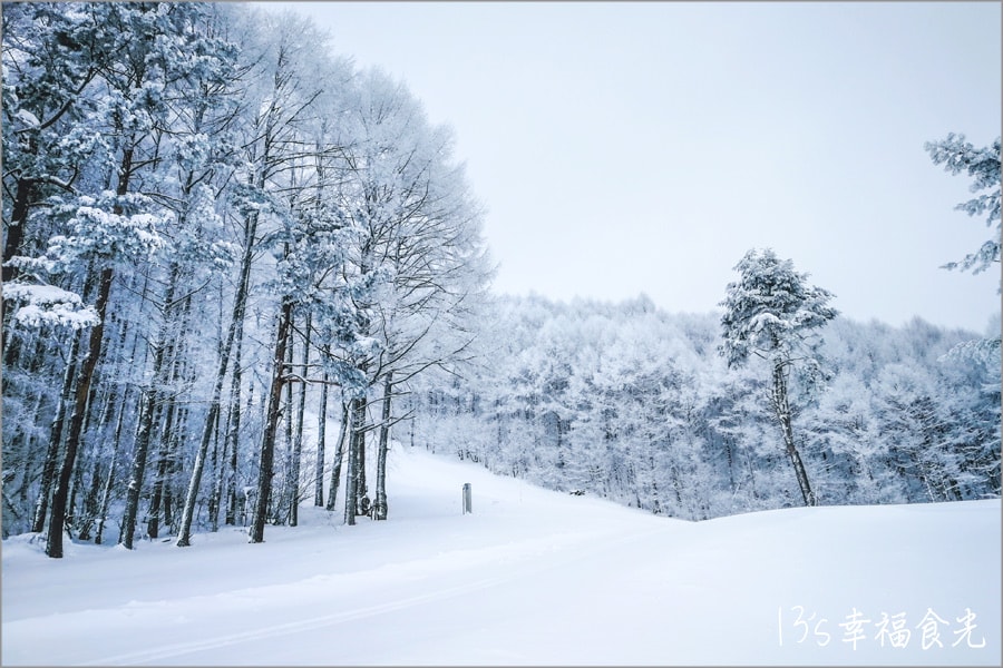【豬苗代Listel滑雪場】福島優質滑雪場推薦「Listel Ski Fantasia」~FIS世界盃比賽地╱森林滑道景色優美 - 第42張圖