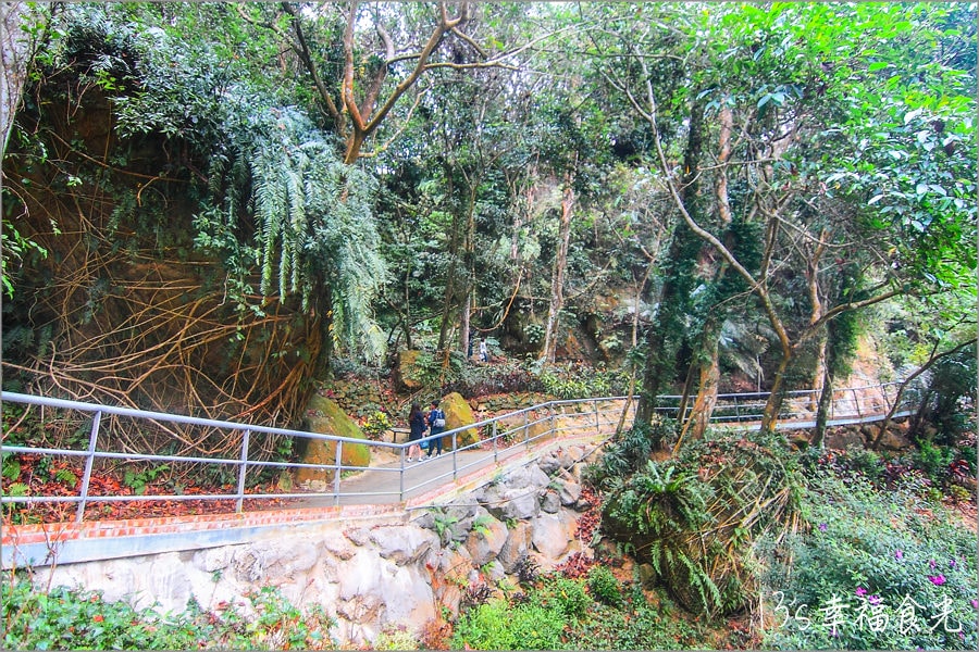 【南庄親子旅遊景點】南庄蘑菇屋民宿「蘇維拉莊園」~森林溜滑梯和精靈樹屋拍照打卡又好玩.苗栗假日旅遊的好去處 - 第35張圖