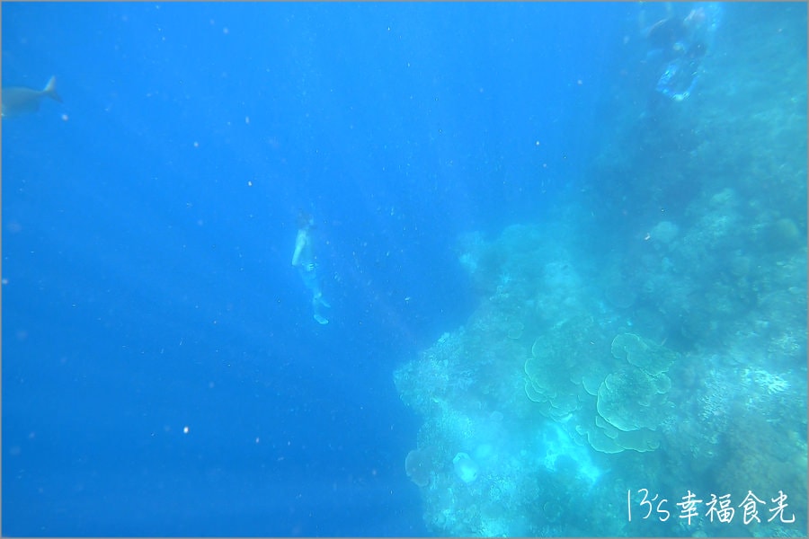 【薄荷島潛水】世界級潛水天堂~「巴里卡薩大斷層(Balicasag Island)」海底斷面秀震撼你的心和眼 - 第35張圖