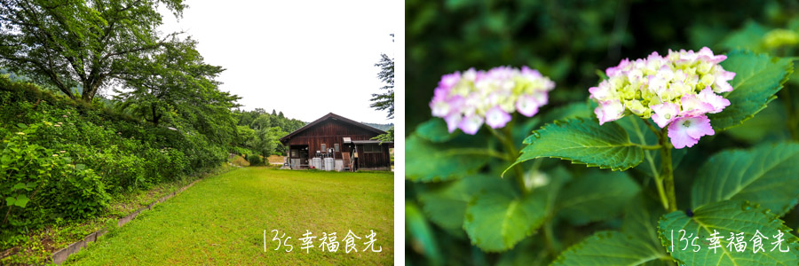 【鳥取旅遊行程】鳥取自由行DAY4鳥取鐵道主題一日遊～若櫻鐵道＆智頭急行｜隼駅｜若櫻駅｜戀山形駅｜八頭迷你SL蒸汽火車博物館｜不動院岩屋堂｜板井原傳統的建造物群保存地區 @13&#039;s幸福食光