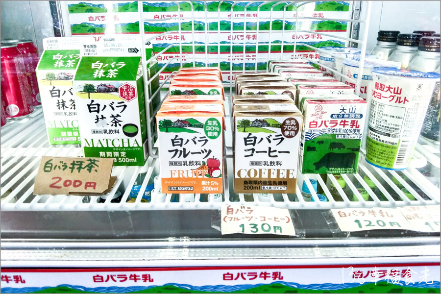 【鳥取旅遊行程】鳥取自由行DAY4鳥取鐵道主題一日遊～若櫻鐵道＆智頭急行｜隼駅｜若櫻駅｜戀山形駅｜八頭迷你SL蒸汽火車博物館｜不動院岩屋堂｜板井原傳統的建造物群保存地區 @13&#039;s幸福食光