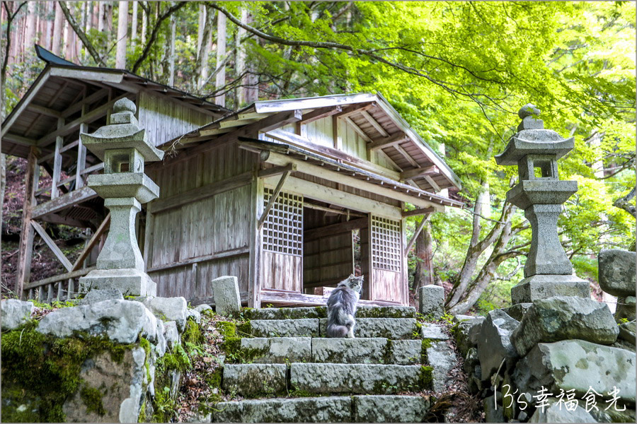 【鳥取旅遊行程】鳥取自由行DAY4鳥取鐵道主題一日遊～若櫻鐵道＆智頭急行｜隼駅｜若櫻駅｜戀山形駅｜八頭迷你SL蒸汽火車博物館｜不動院岩屋堂｜板井原傳統的建造物群保存地區 @13&#039;s幸福食光
