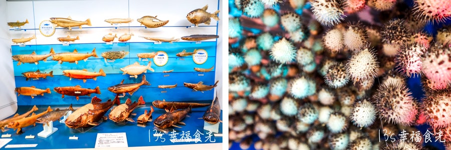 【鳥取旅遊行程】鳥取自由行DAY5境港鬼太郎半日遊~鳥取人氣甜甜圈TRUFFLE DONUT日吉津店|大漁市場なかうら|午餐︰魚倉|海とくらしの史料館|妖怪水木茂之路 - 第56張圖