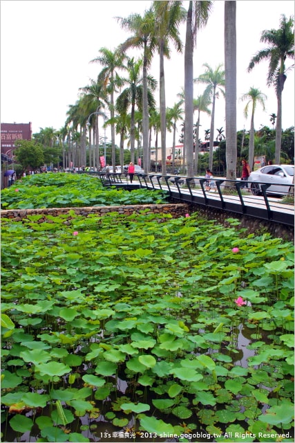 【南投2013荷花季】初夏旅行~就從「中興新村賞荷花」開始 - 第3張圖