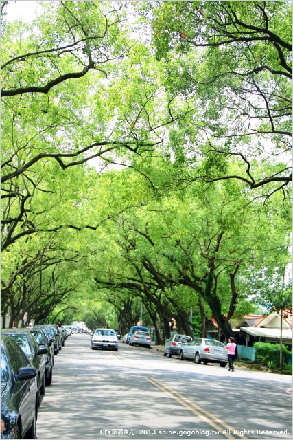 【南投2013荷花季】初夏旅行~就從「中興新村賞荷花」開始 - 第65張圖