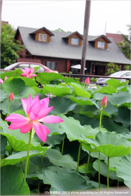 【南投2013荷花季】初夏旅行~就從「中興新村賞荷花」開始 - 第59張圖
