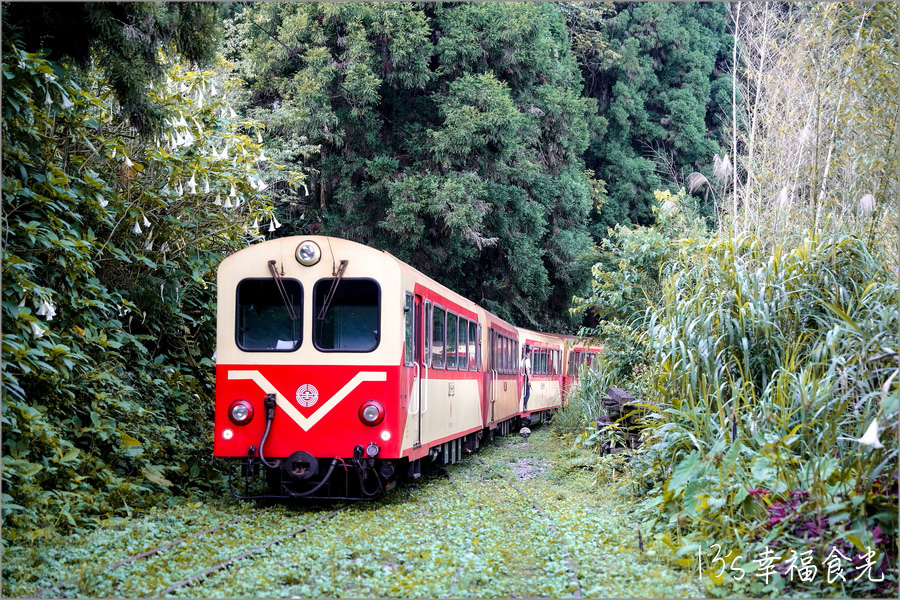 阿里山小火車行程