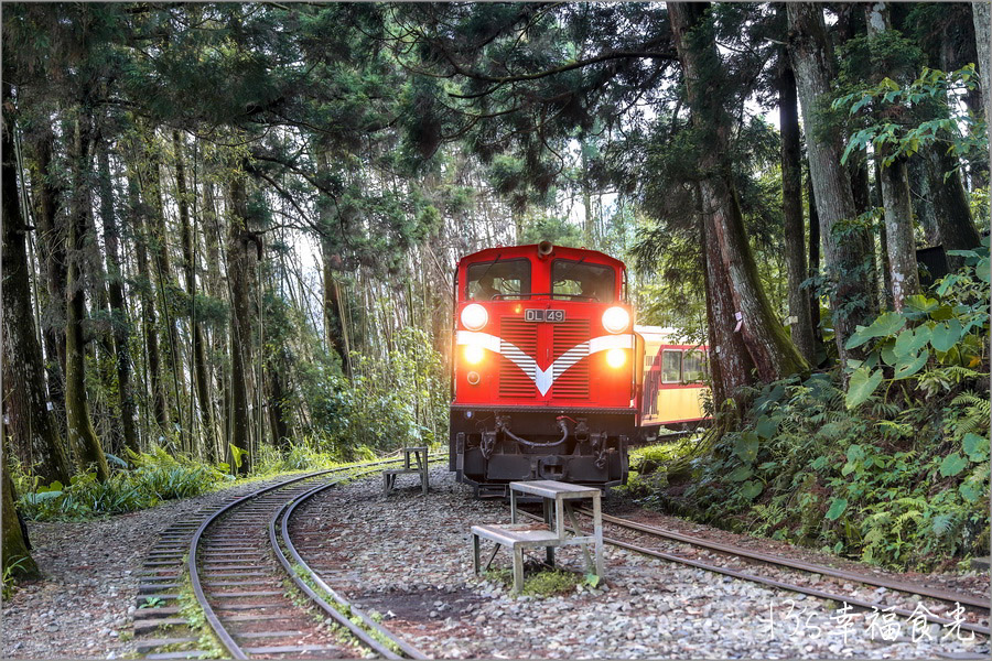 【阿里山小火車旅遊】前進得恩亞納部落!嘉義阿里山小火車兩天一夜行程~魅力鐵道之旅|尋訪十字路車站|最美多林車站|來吉步道森林漫步|阿里山景點|得恩亞納部落旅遊 - 第63張圖