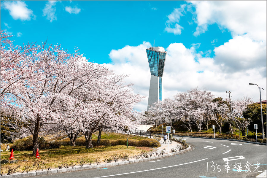 海洋塔Iwaki Marine Tower櫻花