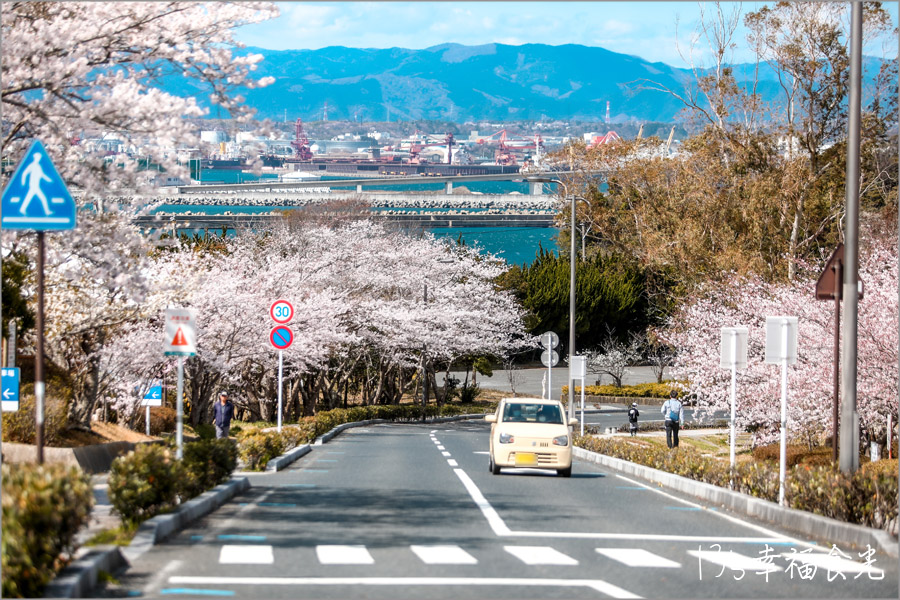 【福島海濱景點】磐城市網美打卡景點~三崎潮見台&海洋塔|Iwaki Marine Tower櫻花|磐城市景點|福島自駕|福島自由行 - 第21張圖 海洋塔Iwaki Marine Tower櫻花