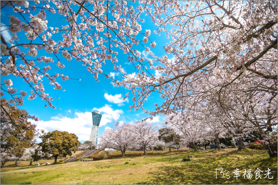 海洋塔Iwaki Marine Tower櫻花