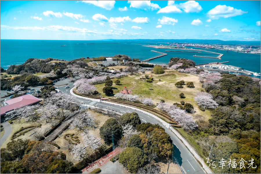 海洋塔Iwaki Marine Tower櫻花