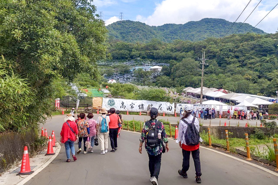 【高家繡球花】繡球花山谷盛開中!新北萬里「高家繡球花第三園區」賞花趣|高家繡球花門票|萬里繡球花景點|台北賞花一日遊|台北繡球花景點推薦 - 第2張圖