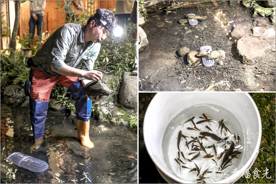 【埔里民宿推薦】南投埔里森林住宿「水泥角生態民宿」動植物生態友善環境|森林餐會浪漫晚餐|夜間生態導覽|生態瓶手作|埔里親子民宿包棟|日月潭民宿|南投埔里住宿|埔里兩天一夜 - 第25張圖